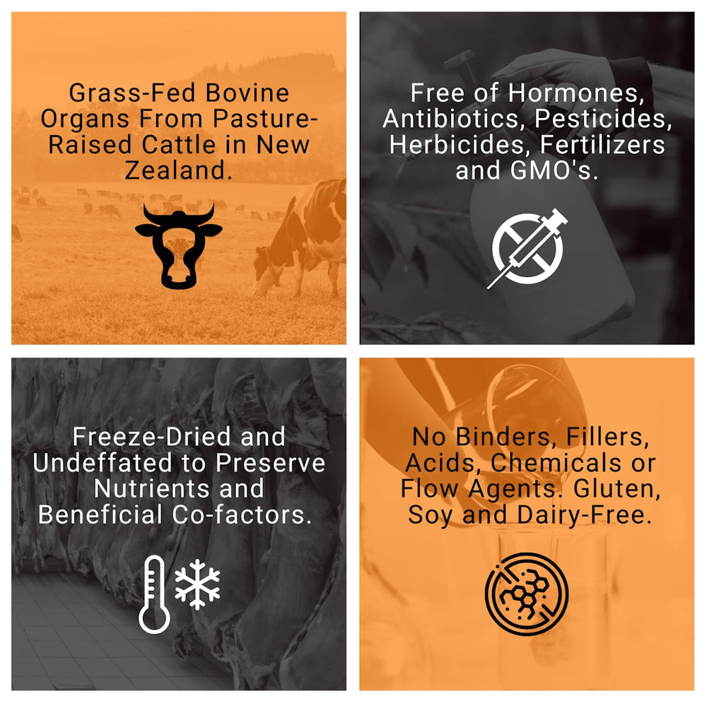 PRIMALRX Bovine Organ Powder capsules denote convenient daily nutrition.