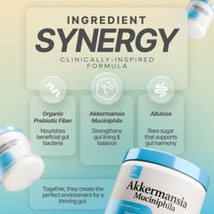 Prime Powders Akkermansia powder pour with an easy-to-use bottle for daily routine.