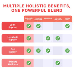 PrimeMD 5-in-1 ingredients graphic shows turmeric berberine cinnamon ginger