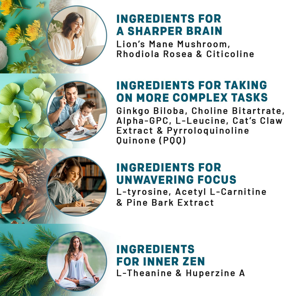 PrimeMD nootropic blend showcasing L-Theanine for calm learning and mood balance.