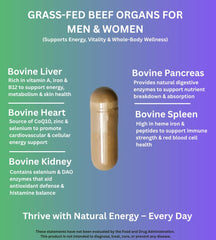 PrimoNourish capsules close-up highlights convenient daily energy and vitality support.