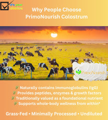 Pouring PrimoNourish colostrum powder into a glass for daily use.