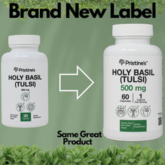 Closeup of PRISTINE'S Holy Basil capsules highlights convenient vegan 500 mg capsules.