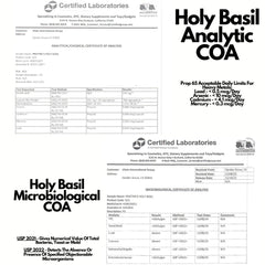 Gluten-free mark on PRISTINE'S Holy Basil communicates dietary compatibility.