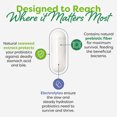 Probulin Women’s Probiotic travel-ready bottle for on-the-go routines.