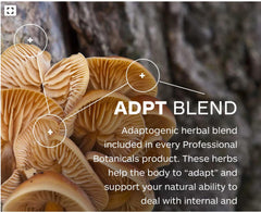 Professional Botanicals Vitamin A, C, and zinc bottle image suggesting immune-friendly nutrients.