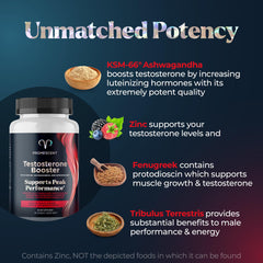 Promescent Ashwagandha (KSM-66) capsules for balanced energy.