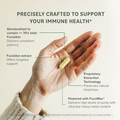 Prominent Nutrition Fucoidan vegan capsules ready for daily use.