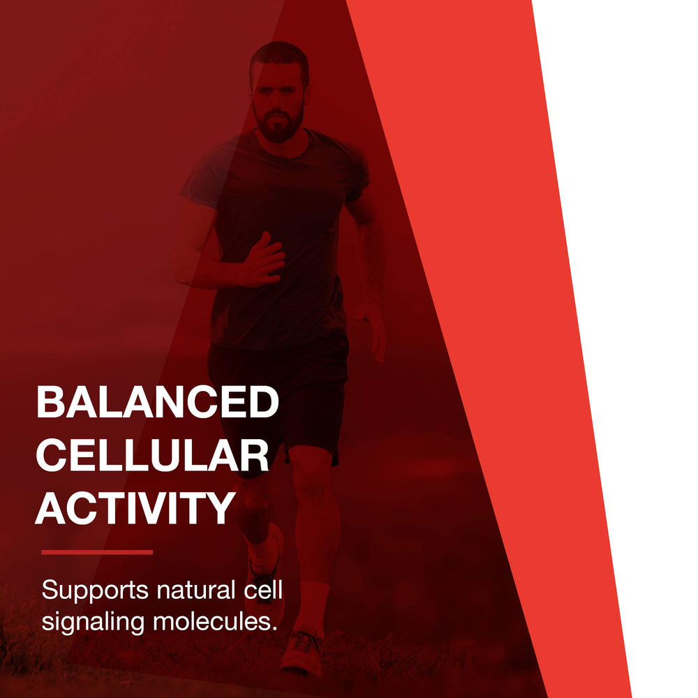 PROTOCOL FOR LIFE BALANCE D-Flame joint support illustration with natural ingredients.