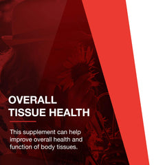 PROTOCOL FOR LIFE BALANCE vegetarian capsules close-up highlighting plant-based convenience