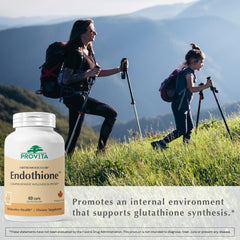 PROVITA Endothione probiotic strain emphasizing gut and liver synergy.