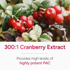 PRVNT Urinary Tract Defense USA manufactured quality in a cGMP facility