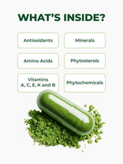 PURA VIDA MORINGA hand peeled leaves image illustrating purity and care.