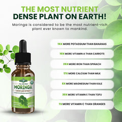 PURA VIDA Moringa leaves emphasize single-origin sourcing for pure extract.