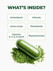 Pura Vida Moringa volcanic soil origin emphasizing mineral-rich growing conditions