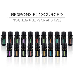 Pure Daily Care 20-oil set organized for easy selection