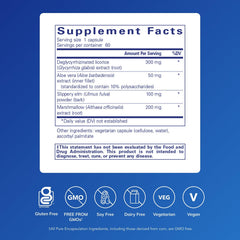 DGL Plus ingredients panel shows licorice-free blend with aloe vera for gentle digestion