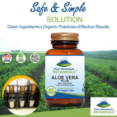 Pure Mountain Botanicals Aloe Vera Plus with marshmallow root visible, suggesting soothing digestive support.