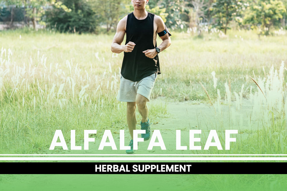Pure Original Ingredients alfalfa leaf capsules with label, emphasizing lab-verified purity