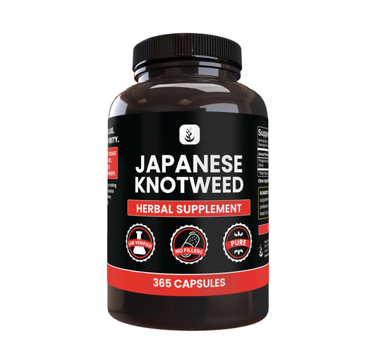 Pure Original Ingredients Japanese Knotweed capsules in close-up showing pure single-ingredient formula