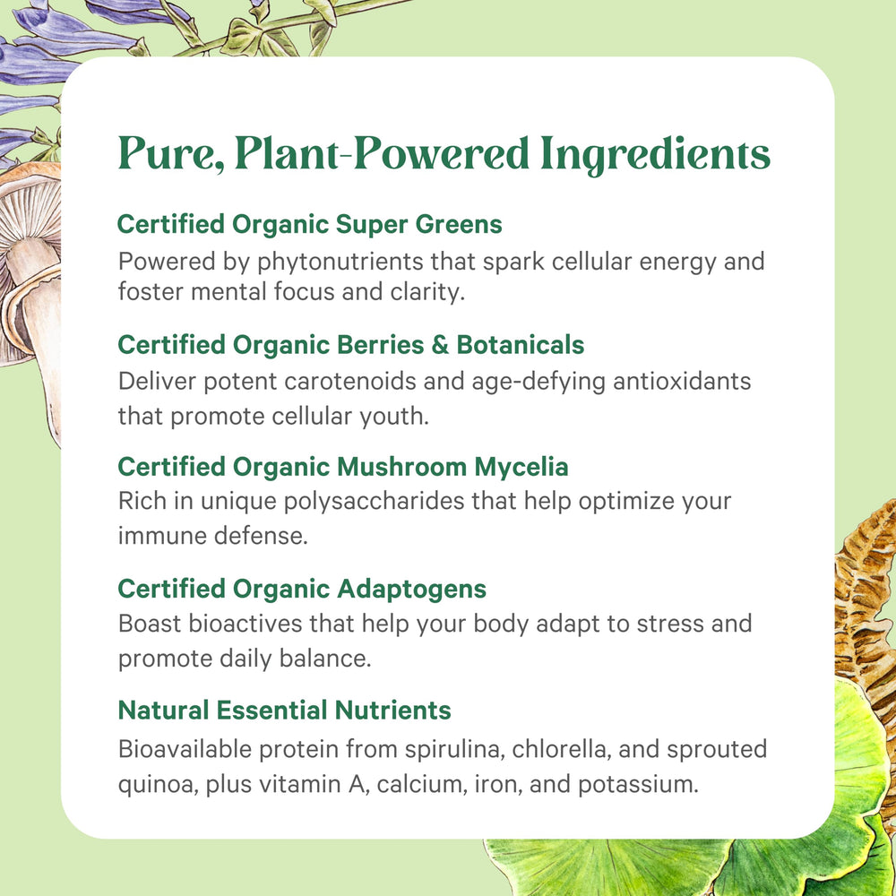 PURE SYNERGY Spirulina and mushrooms close-up highlighting ingredients