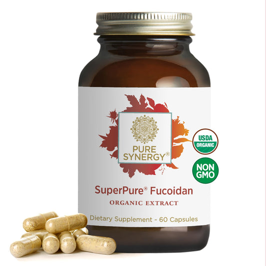 Pure Synergy SuperPure Fucoidan extract bottle displaying organic seaweed and immune support.