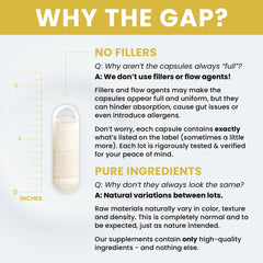 USA-made GMP facility label indicating high manufacturing standards for Pure Therapro Rx.