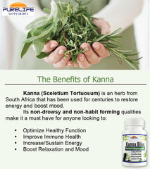 PureLife Kanna Bliss label graphics highlighting vegan and allergen-free ingredients
