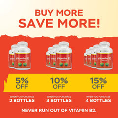 Purely Holistic capsules on white background simple daily supplement routine