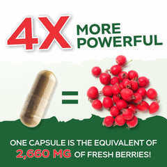 Vegetarian and vegan-friendly Purely Holistic Hawthorn Berry capsules with no artificial additives.