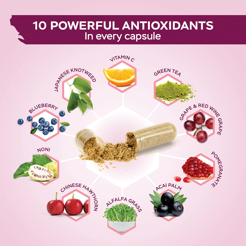 Ingredients collage featuring Japanese Knotweed and polyphenol sources.