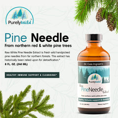 Purely Wild Pine Needle Extract dropper ready for easy daily use.