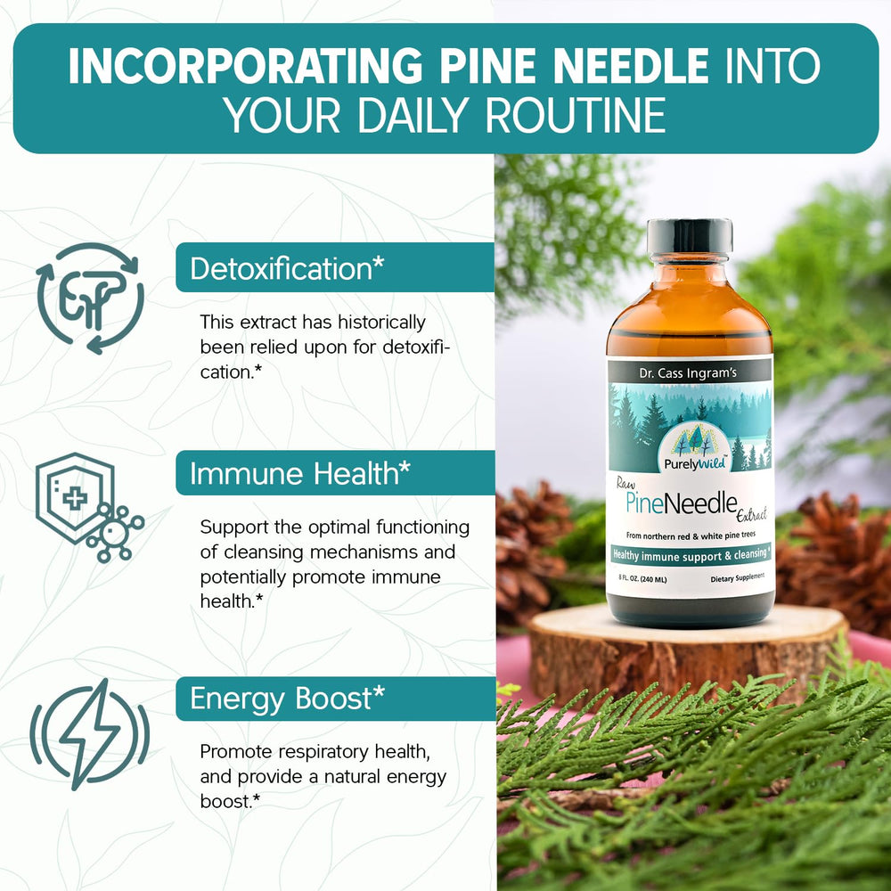 Purely Wild Spruce Needle Extract bottle highlighting full-spectrum forest nutrients.