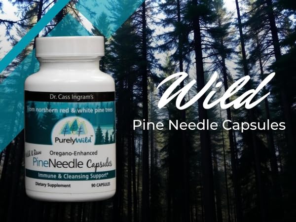 PURELY WILD spruce and pine needle powders visible for respiratory wellness.