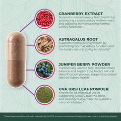 PurePremium uva ursi leaf capsule featured among key ingredients.
