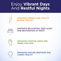 Purity MagBlue Refresh Factor blueberries visual implying antioxidant support.