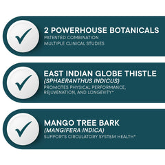 Purity Products Muscle Accelerator blend-ingredient chart shows Globe Thistle and Mango Bark.