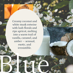 PuroSentido blue aroma oil with diffuser setup for elevated home ambiance