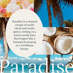 PuroSentido Paradise diffuser close-up highlighting floral notes for calm spaces.
