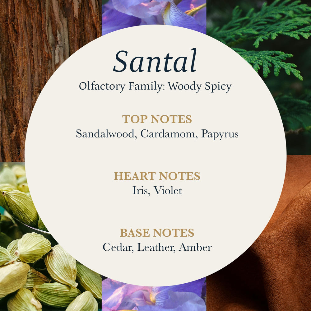 PuroSentido Santal diffuser oil packaging box exudes premium quality for gifting
