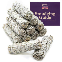 Purple Canyon sage smudge sticks 12-pack ready for cleansing rituals.