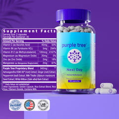 Purple Tree Next Day travel pack ideal for post-event mornings.