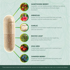 PurPremium Garlic extract capsule showing potent flavor-free daily use