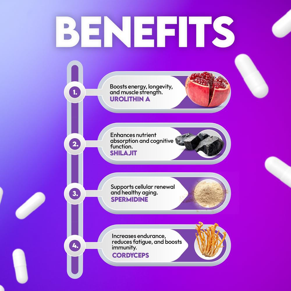 QONDRIA Spermidine capsules close-up suggests cognitive support potential