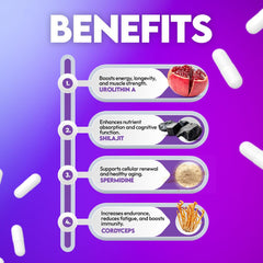 QONDRIA Spermidine capsules close-up suggests cognitive support potential
