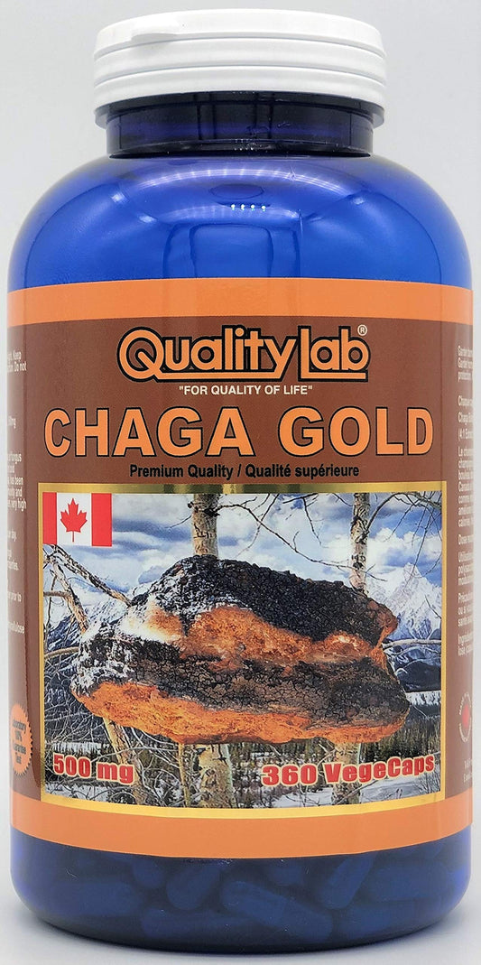 QualityLab Chaga Gold 500 mg vegecaps bottle front for daily wellness