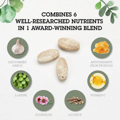 Echinacea and licorice in Quantum Health SuperLysine+ blend