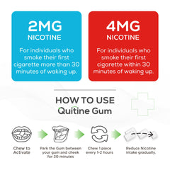 Quitine 2mg Mint gum packs stacked indicating value pack savings