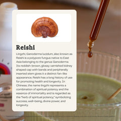 Rainbo Canada-sourced mushrooms highlight sustainable cultivation and purity