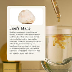 Rainbo Lion’s Mane tincture dropper application for simple daily mixing